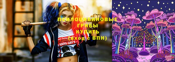герыч Вяземский