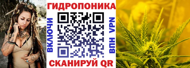 Марихуана Bruce Banner  Купить закладки  Людиново 